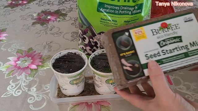 ТАК ВСХОДЯТ АБСОЛЮТНО ВСЕ СЕМЕНА ОГУРЦОВ. ВРЕМЕНИ НЕТ НА ПЕРЕПОСЕВ. МОЖНО ОПОЗДАТЬ С УРОЖАЕМ. смотреть онлайн