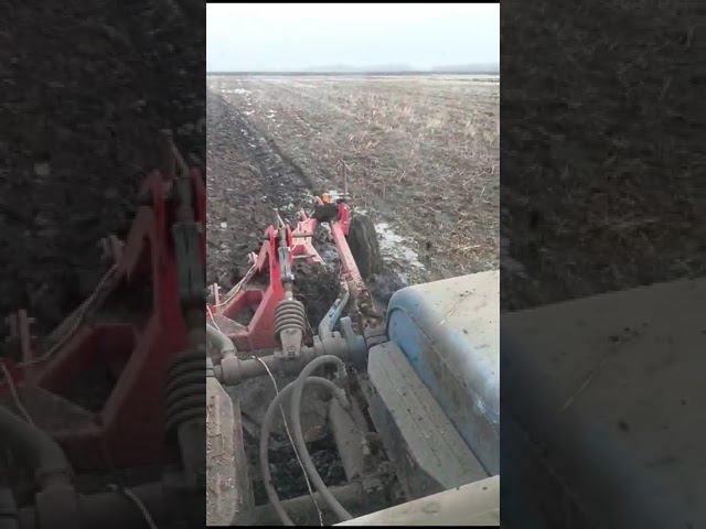 Пахота плугом ПС-5/35 по лютой грязи и воде Февраль 2024 Адыгея. #трактор #ипсергиенко смотреть онлайн