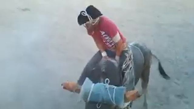 Francisco Segura Vs. El Bombón del Molino Colorado смотреть онлайн