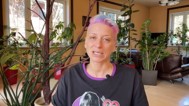 Вопрос-ответ №75 от 21.04.22 | Почему чернеют кончики листьев у фикуса Лираты смотреть онлайн