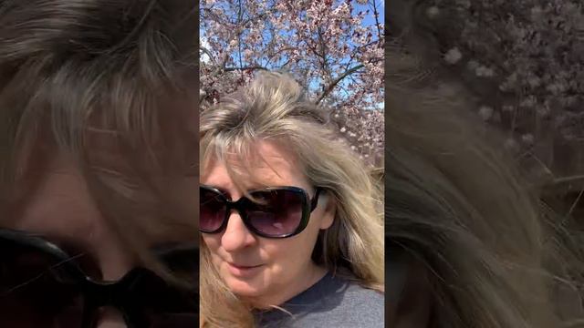 Thoughtful Thursday: Devotion with Sis Miller смотреть онлайн