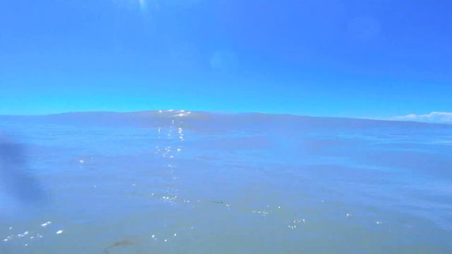 Море, волны, водоросли смотреть онлайн