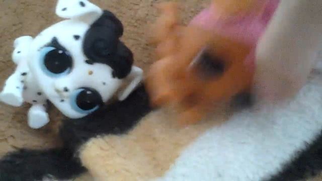 Собаки сравнение ! lol , неизвестно, LPS смотреть онлайн