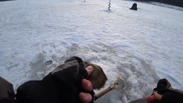 ЗИМНЯЯ РЫБАЛКА, НЕ ПЕРВЫЙ ЛЕД, ОКУНЬ НА МОРМЫШКУ, ЩУКА НА МУРИНСКИХ НА ЖЕРЛИЦЫ! ЛОВИМ НА УРАЛЕ! смотреть онлайн