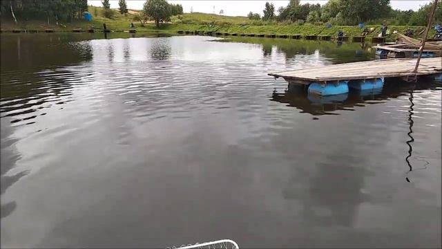 Клевое Место д. Савельево. Поимка сома 2 сектор смотреть онлайн