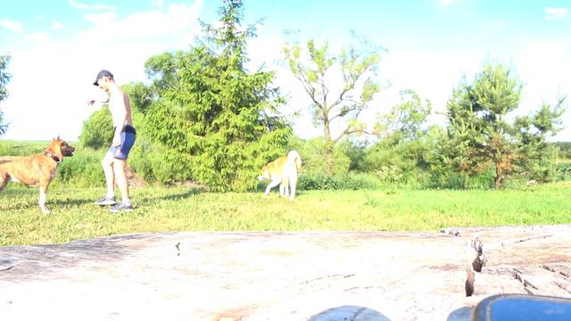 Брат с Новосибирска смотреть онлайн