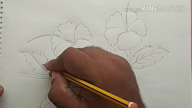 Haw To Draw Hibiscus Flower For Beginners ( Very Easy)