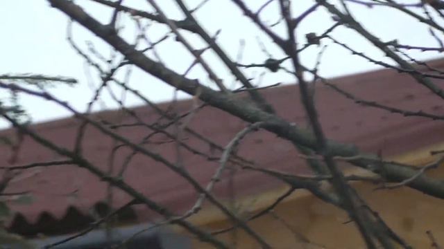 №301 Поездка НА ДАЧУ зимой ⛄ ВЛОГ ⛄ НАША ДАЧА 🔵 ЧТО стало с ДОМОМ зимой ❓Пришла ВЕСНА ❗ ЖИЗНЬ семьи смотреть онлайн