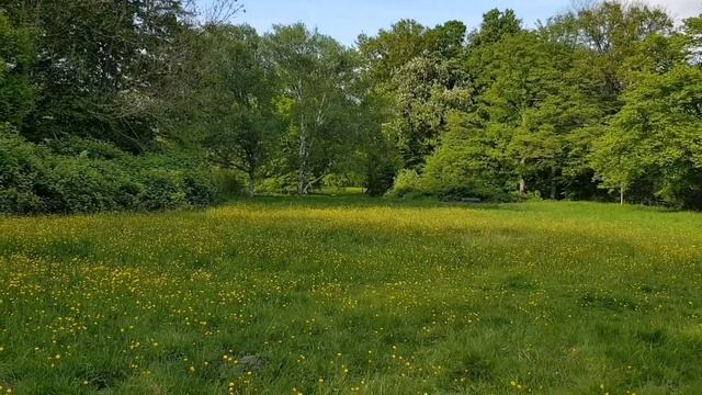 Стихи о любви к весне и природе смотреть онлайн