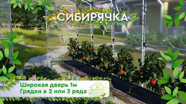 теплица Сибирячка ширина 3м, высота 2,5м смотреть онлайн