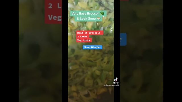 Easy Broccoli & Leek Soup | Cheap Eats | Healthy Eats | Diabetic Friendly | Veggies | Simple Food |