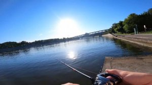 Narval Argument 82H Cast! Shimano Antares 21 в джиге