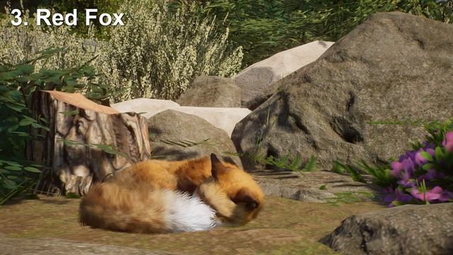 Next Planet Zoo DLC will be a Europe Pack! Here's Why смотреть онлайн