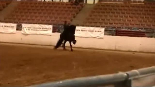 Janna and Friesian Horses Competing in a VARIETY of Disciplines for blacksterlingfriesians.com смотреть онлайн