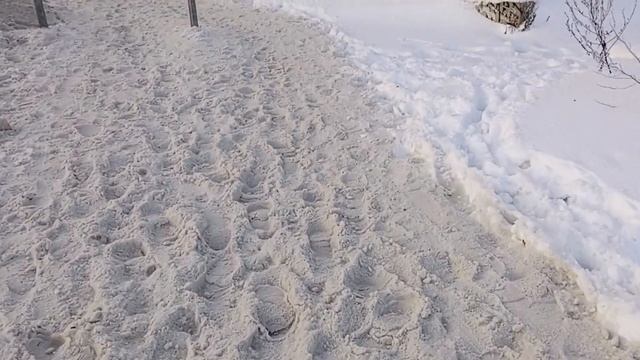 Как чистят дороги в МУРИНО. От автобусной остановки МЕТРО ДЕВЯТКИНО до проспекта Авиаторов Балтики смотреть онлайн