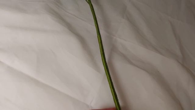 #Бисерныецветы Зеленая Хризантема Паук из бисера Авторская работа от Виктории Chrisanemum flower смотреть онлайн