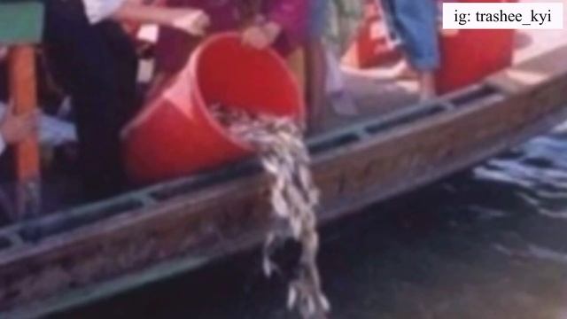 10 INTERESTING FACTS ABOUT ACTOR TANDIN SONAM | Bhutanese actor | Bhutanese Vlogger смотреть онлайн