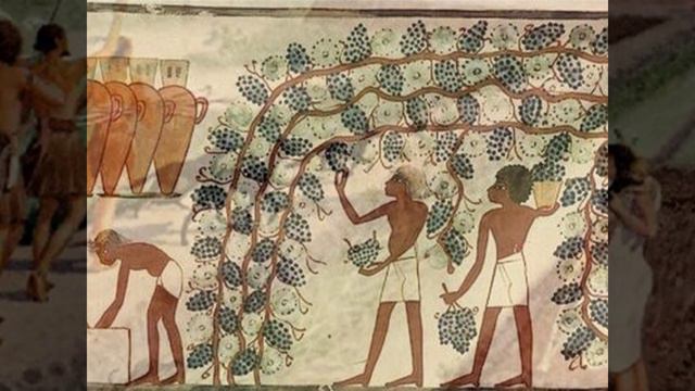 Задание 2 . Сельское хозяйство