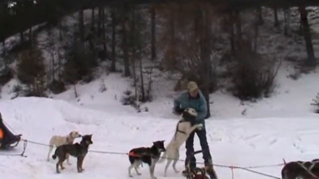 Chapter 3 of the Mushing Adventure смотреть онлайн