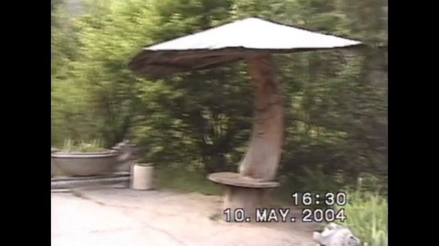 Ялта, зоопарк "Сказка" (28.04.2003) Поляна Сказок (10.05.2004) смотреть онлайн