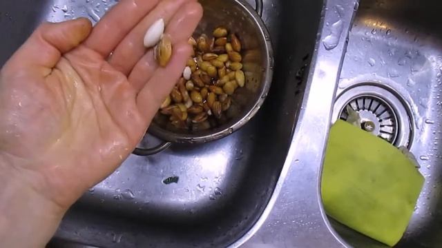 67 Квашеный миндаль смотреть онлайн