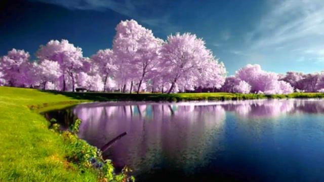 МЕДИТАЦИЯ спокойного СНА смотреть онлайн