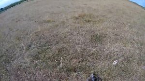 Металлоискатель xp Deus v5.1 и обалденные находки