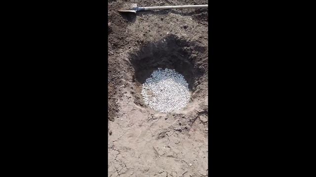 Первая попытка посадки голубики на Алтае смотреть онлайн