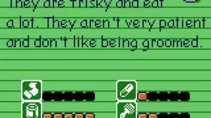 Barbie: Pet Rescue (Game Boy Color) полное прохождение