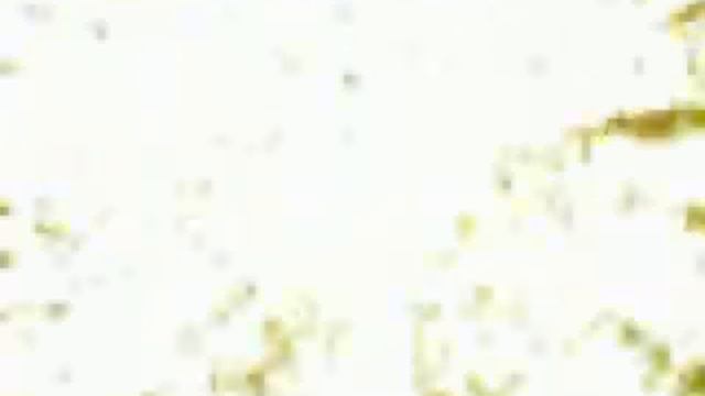 William/Peter смотреть онлайн