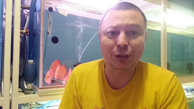 отправка, а должен в Бразилии быть. смотреть онлайн