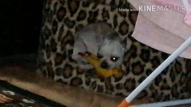 КАРОЧЕ ГОВОРЯ БОЮСЬ ГРОЗЫ смотреть онлайн