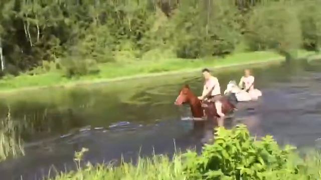 купание на лошадях смотреть онлайн