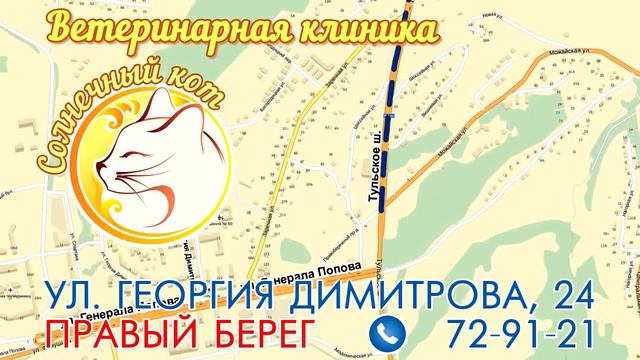 Солнечный кот 20сек смотреть онлайн