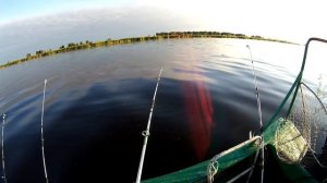 Рыбалка оз. Чаны Трофейный сазан 4,8 кг, карась, язь