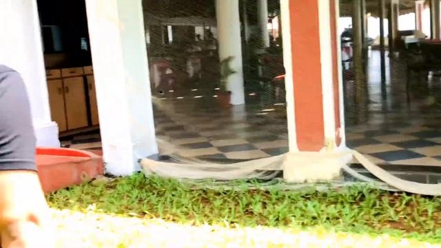 Goa bogmallo beach Resort | best Beach Side Hotel | South Goa #asortworld смотреть онлайн