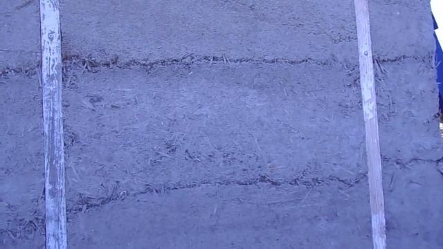 Не правильный арболит смотреть онлайн