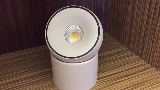 Светильник BPM Oracle смотреть онлайн