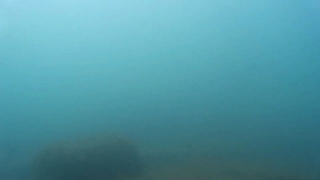 1 октября Сочи. Купаться. Загорать. Бархатный сезон. Влог 2017 смотреть онлайн