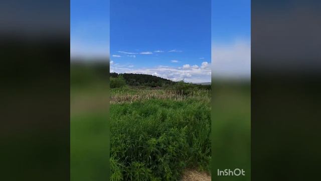 маршрут Малый Кызыкуль - Большой Кызыкуль через лесные тропы смотреть онлайн