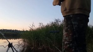 Сигнализатор поклёвки Сойка 5.