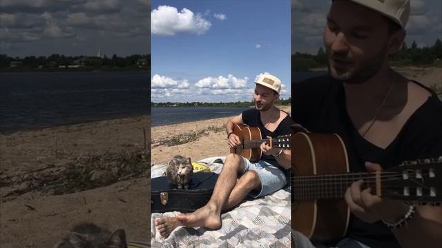 ЛюбовьДоПУСИнения | Мурка | Любовь До ПУСИнения | Кото Пёс Фест смотреть онлайн