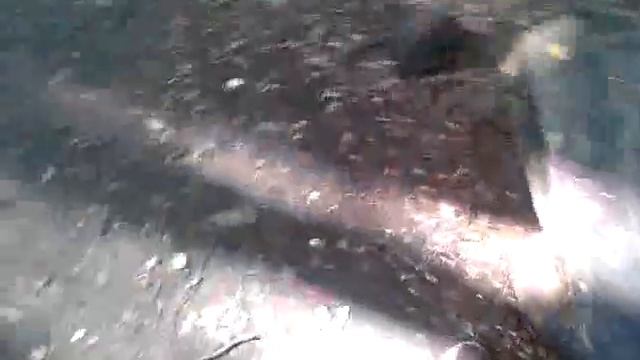 Палю годноту. Как я похудел на 30 килограмм за 3 месяца! смотреть онлайн