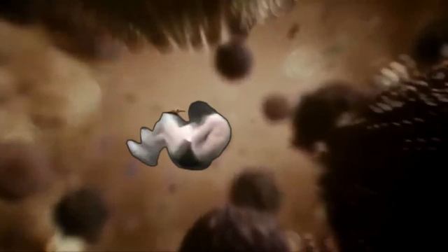 Shooting Stars Catch The Ice Dude смотреть онлайн