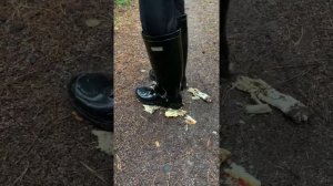 Gummi Boots crushing mushrooms in the park