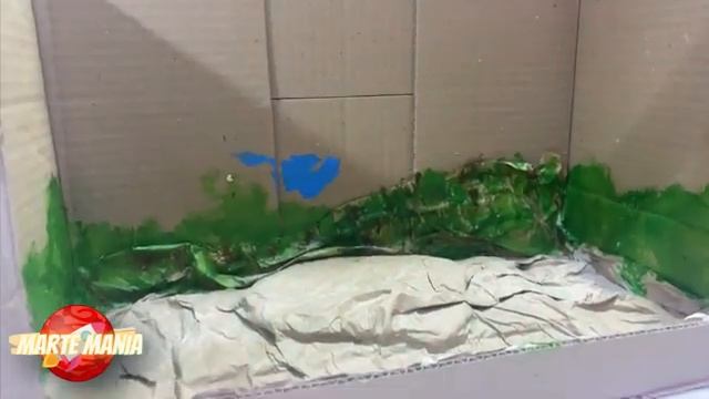 PECERA DE CARTÓN/ Maqueta de una pecera de cartón