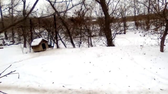 Аэросани 28.12.2016г. смотреть онлайн