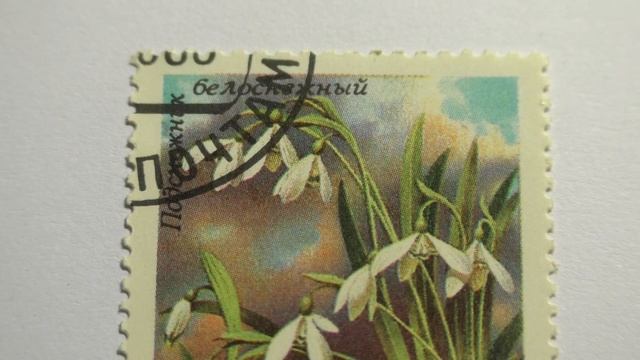 Почтовая марка. Почта СССР. 1983 г. Подснежник белоснежный смотреть онлайн