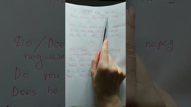 Present Simple. Вопрос. Отрицание смотреть онлайн