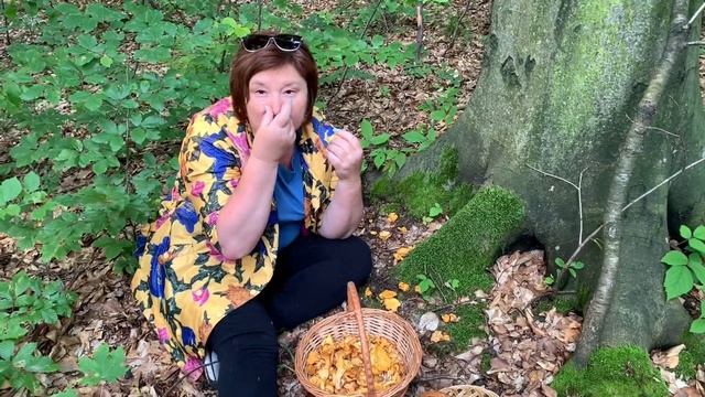 Іду до лісу , збирати лисичку !!! Уже буде свіженька ! смотреть онлайн